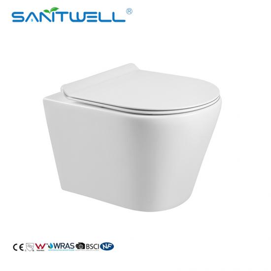 Ceramic Rimless Wall Hung WC