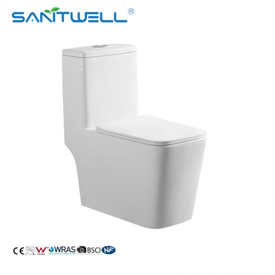 One Piece Water Closet WC Toilets