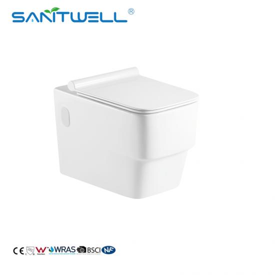 wall mounted toilet