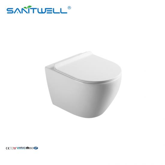 wall mounted toilet