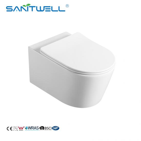 wall mounted toilet