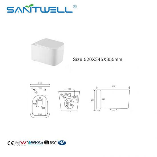 wall mounted toilet