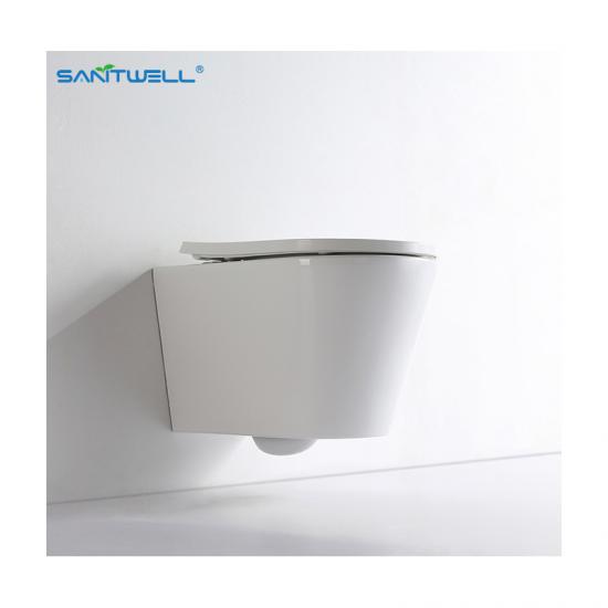 wall mounted toilet