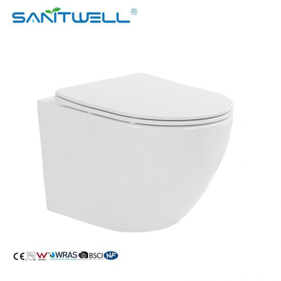 wall hung toilet