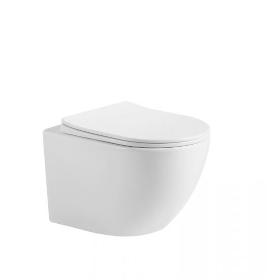 Wall hung toilet