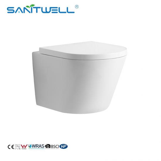 Wall hung toilet